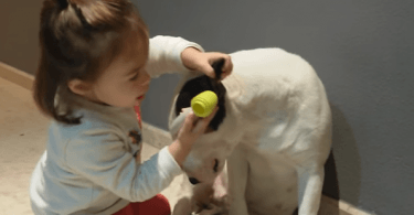 Chien qui joue au docteur avec une petite fille