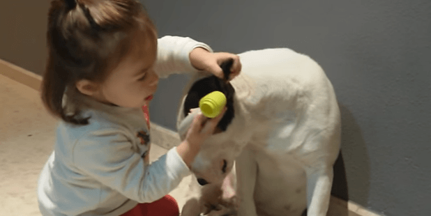 Chien qui joue au docteur avec une petite fille