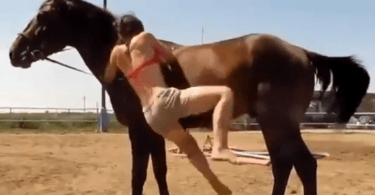 le cheval aide la jeune fille à le monter