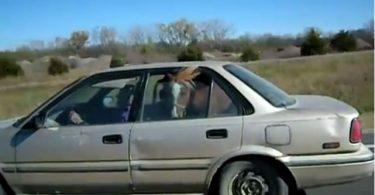 poney partant en voyage en voiture