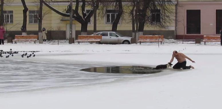 Chien sauvé des eaux glacées par un homme